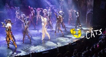 Cats – La Obra de Teatro en Cancun – 1 Nov 2014