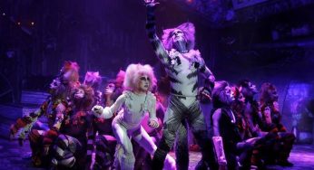 Cats en Cancún este 26 de Marzo de 2019