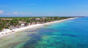 Playas de Quintana Roo libres de sargazo gracias al clima y jornadas de limpieza