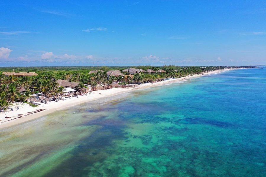 Playas de Quintana Roo libres de sargazo