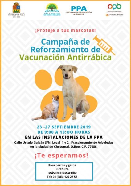 Campaña de vacunación gratuita para perros y gatos 