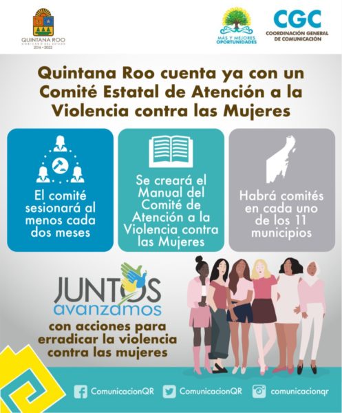 Comité Estatal de Atención a la Violencia Contra las Mujeres 