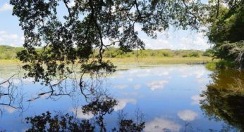 Laguna Om será acreditada como área destinada a la conservación