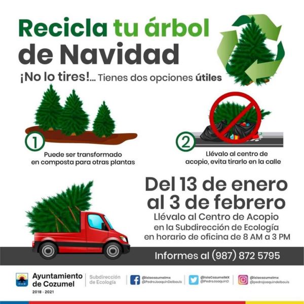 centros de acopio de arboles de navidad