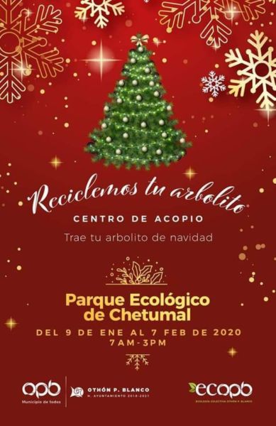 centros de acopio de arboles de navidad