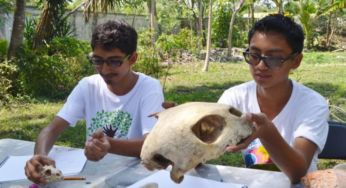 FPMC convoca a participar en taller «Dibujando a la naturaleza»