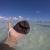 Recogen decenas de cubrebocas en playas de Cancún