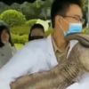 Viralizan video de dinosaurio bebé clonado en China