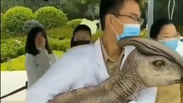Viralizan video de dinosaurio bebé clonado en China